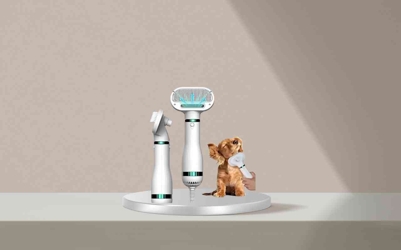 Scopri come addestrare cani e gatti con Nice Pet: soluzione efficace e sicura