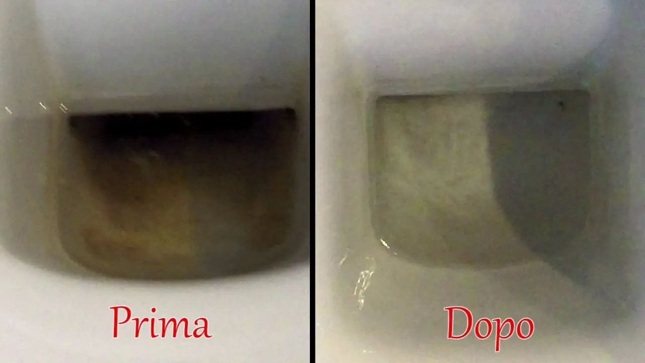 Non ignorare il colore dell’acqua nel WC: ecco cosa potrebbe indicare