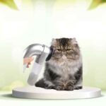 SpazzolAmica: elimina i peli degli animali e migliora il comfort di casa tua